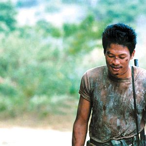 Bilder Tropical Malady