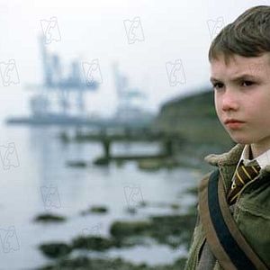 Bilder Lieber Frankie