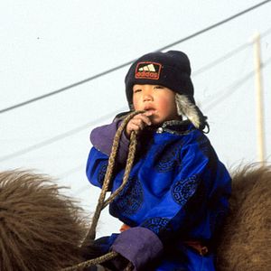 Bilder Luigi Falorni