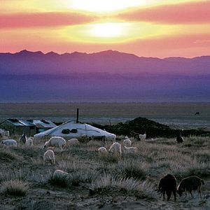 Bilder Luigi Falorni