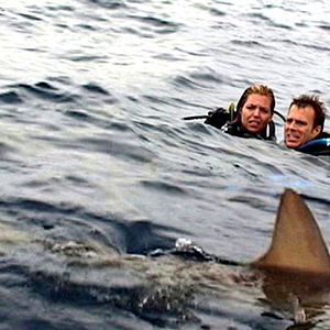 Bilder Daniel Travis