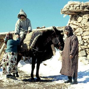 Bilder In Casablanca fliegen keine Engel