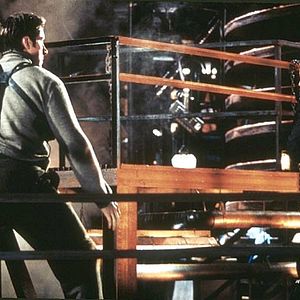 Bilder Wych Kaosayananda