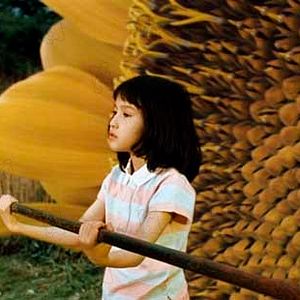 Bilder Katsuhito Ishii