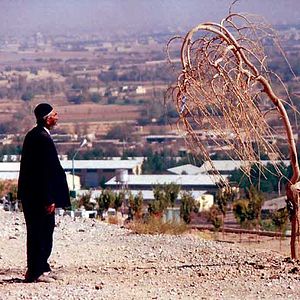 Bilder Mohsen Amiryoussefi