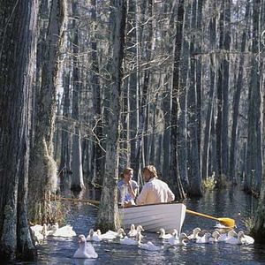 Bilder Wie ein einziger Tag