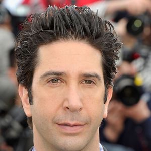 Bilder David Schwimmer