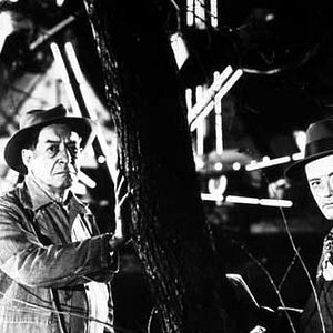 Bilder Alfred Hitchcock