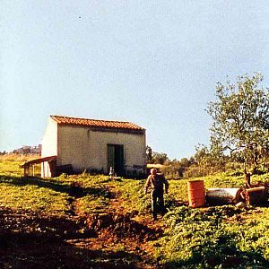 Bilder Michelangelo Frammartino