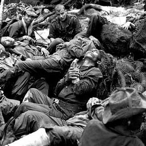 Bilder Jacques Perrin