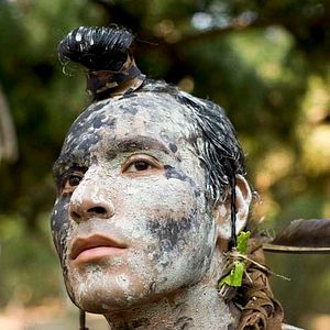 Bilder Terrence Malick