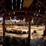 Bilder Terrence Malick