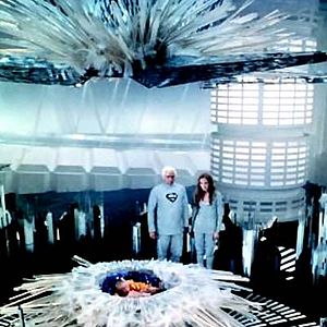 Bilder Marlon Brando