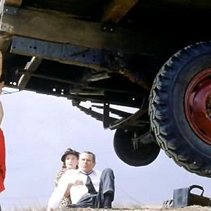 Bilder Phyllis Thaxter