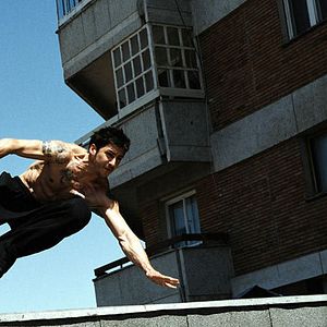 Bilder David Belle
