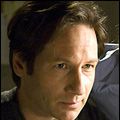 Bilder David Duchovny