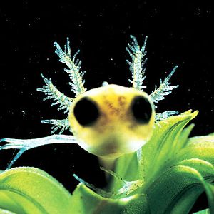 Bilder Marie Pérennou