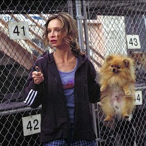 Bilder The Last Shot