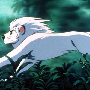 Bilder Jungle Emperor Leo