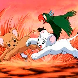 Bilder Jungle Emperor Leo