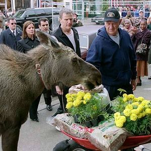 Bilder Willkommen in Mooseport