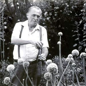 Bilder Charles Bukowski