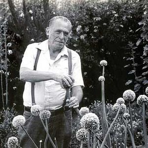 Bilder Charles Bukowski
