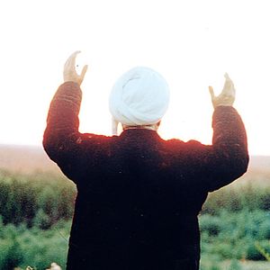 Bilder Gennady Sidorov