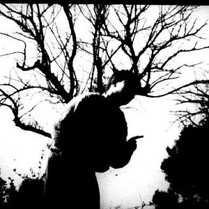 Bilder Josée Manenti