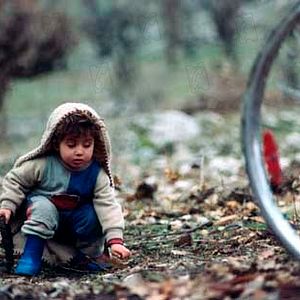 Bilder Bahman Ghobadi