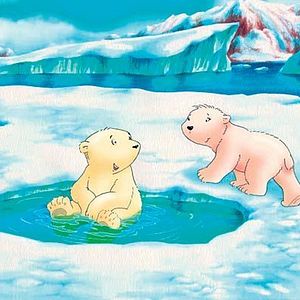 Bilder Piet De Rycker