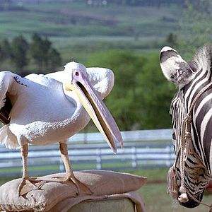 Bilder Frederik Du Chau