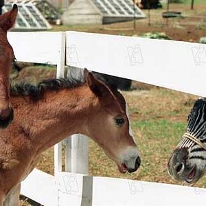 Bilder Frederik Du Chau