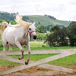 Bilder Frederik Du Chau