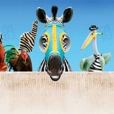 Bilder Frederik Du Chau