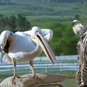 Bilder Frederik Du Chau