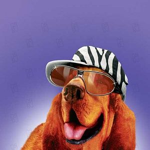 Bilder Frederik Du Chau