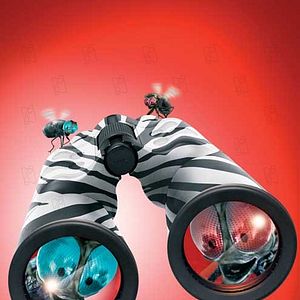 Bilder Frederik Du Chau