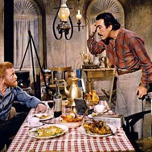 Bilder Vincent van Gogh - Ein Leben in Leidenschaft