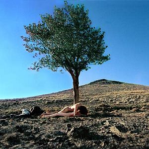 Bilder Mitra Farahani