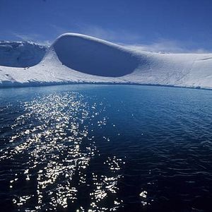 Bilder Die Reise der Pinguine