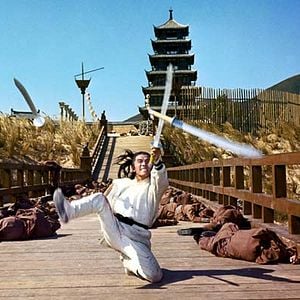 Bilder Das Schwert des gelben Tigers