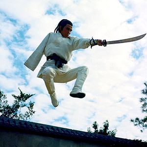 Bilder Das Schwert des gelben Tigers