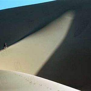 Bilder Der Flug des Phoenix