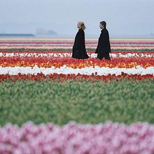 Bilder Serge Frydman