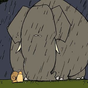 Bilder Fabrice Luang-Vija