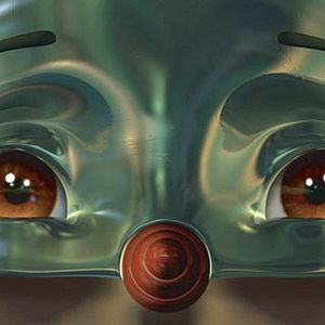 Bilder Daniel Robichaud