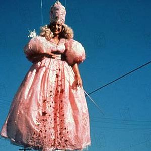 Bilder Wild at Heart