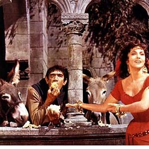 Bilder Gina Lollobrigida