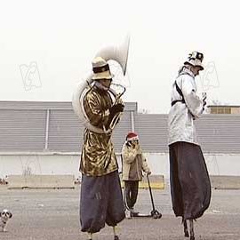 Bilder Das Recht des Stärkeren